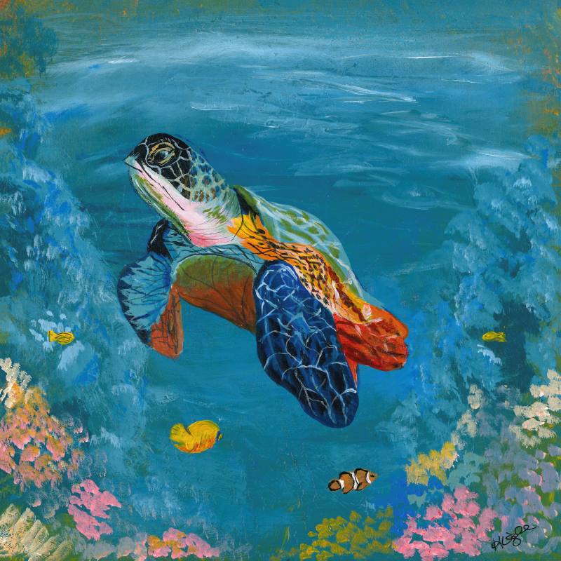 Sea Turtle Print on Paper